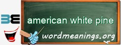 WordMeaning blackboard for american white pine